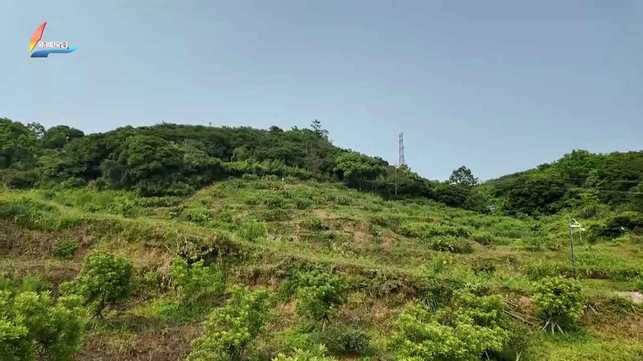 20260604��������