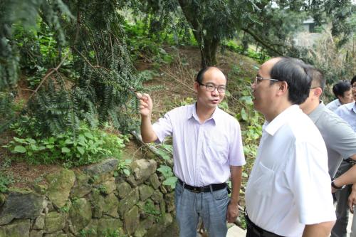 市委书记金志赴谷来镇调研工作-嵊州新闻网