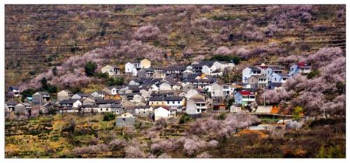 四堡古村